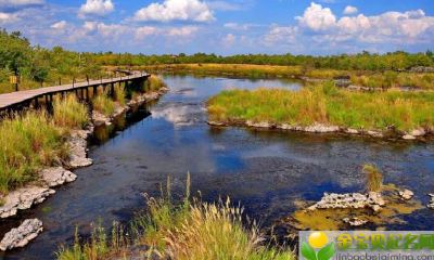 2019年7月11日子时（23:00-00:59）出生的男宝宝，怎么样取名好
