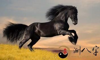 生肖属马的人：能力强性热情