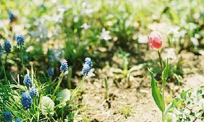 姓容女孩有寓意的名字大全