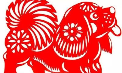 旺旺旺！生肖狗的人性格全析！