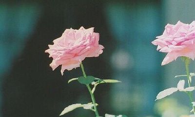 姓咸女孩有寓意的名字大全