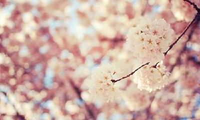 姓姬女孩有寓意的名字大全