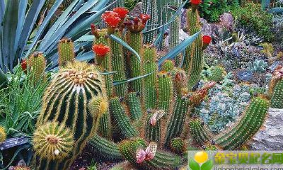 2019年4月27号早上出生的女宝宝怎样取一个好名字