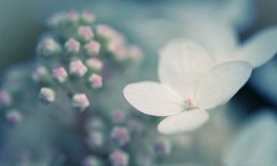 姓逄女孩有寓意的名字大全