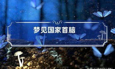 梦见国家首脑