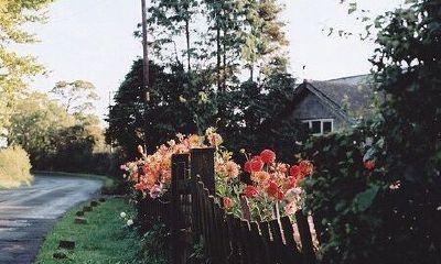 姓籍女孩有寓意的名字大全