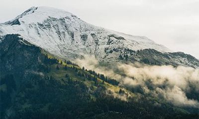 桑姓是怎么来的？桑姓是少数民族吗？