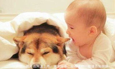 好听女孩子的名字,起名带金的女孩名字