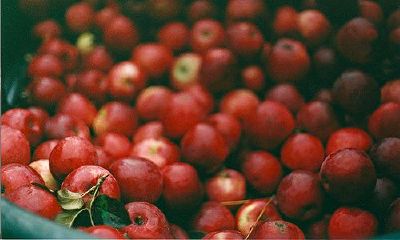 姓甘女孩有寓意的名字大全