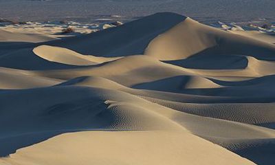 最新百家姓中桂姓排第几？桂姓得姓始祖是谁？