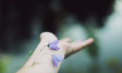 姓乔女孩有寓意的名字大全