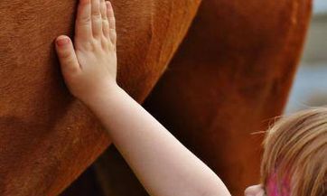 2023兔年10月生的宝宝五行怎么样 受人喜爱的属兔孩子名字