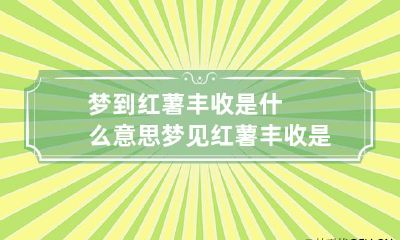 梦到红薯丰收是什么意思 梦见红薯丰收是什么意思
