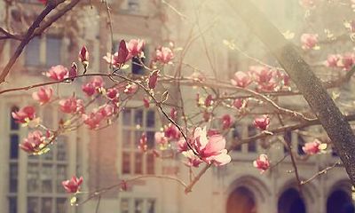 姓蒙女孩有寓意的名字大全