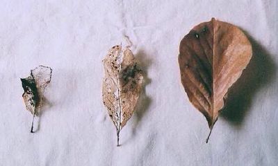 2022年秋季的开业阳历吉日查询大全