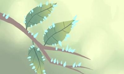 属虎人2021年犯太岁吗 如何化解