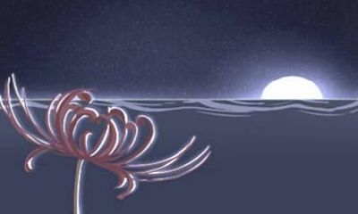 属兔人2021年全年运势解析免费