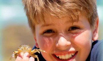 2023年冬月初五出生姜姓男孩名字叫什么