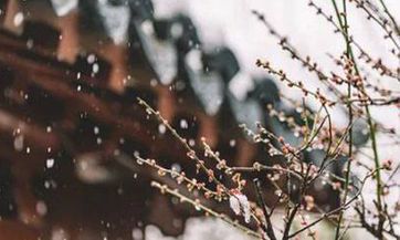 是不是大寒最冷 大寒一般多少度