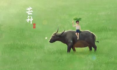 寒露出生的属蛇人是什么命？寒露节气喝什么？