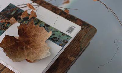 历史上姓鲁的名人伟人有什么？姓鲁的明星