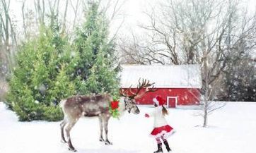 2023年十月初四出生郭姓女孩名字