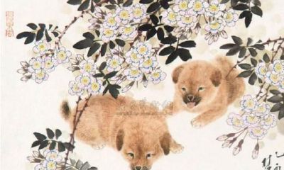 自身的人生道路自身主宰者：“70年狗狗狗”将来运程怎样？