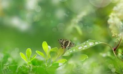 2023年春分是阳历几号？今年春分日在哪一天