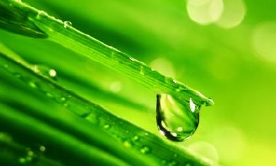 寒露节气在什么季节？寒露节气三侯分别是什么？