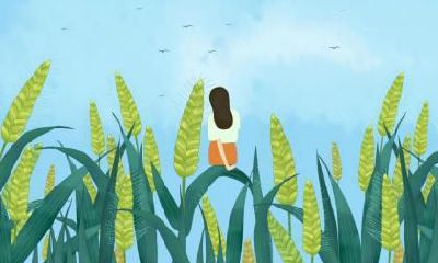 寒露节气气候特点是什么？寒露鸿雁来宾是什么意思？