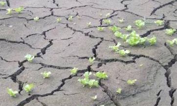 2023年谷雨是几时几分几秒