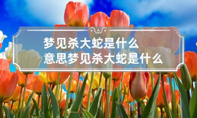 梦见杀大蛇是什么意思 梦见杀大蛇是什么意思女性