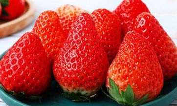 梦见蒲公英怎么回事 梦见蒲公英有什么预兆