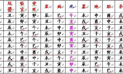 十二地支相冲、相冲、藏干、延年、墓库