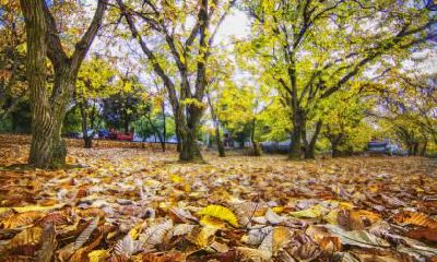 2022年8月出生虎宝宝五行属性，生肖虎宝宝吉利名字