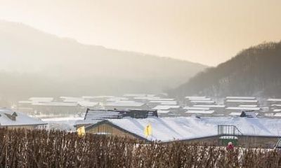 寒露节气后天气还会热吗？寒露三候分别是哪三候？