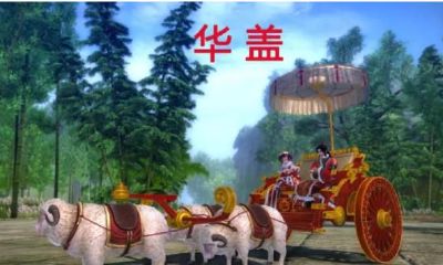 为什么说四柱带有华盖的人更容易在偏门学术上有造诣