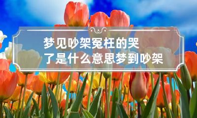 梦见吵架冤枉的哭了是什么意思 梦到吵架还哭了