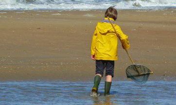 父姓何母姓万宝宝名字