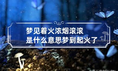 梦见着火浓烟滚滚是什么意思 梦到起火了浓烟滚滚