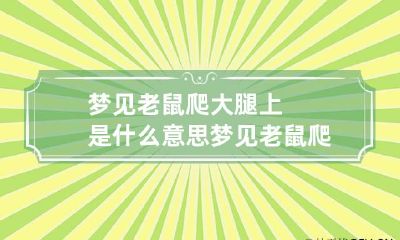 梦见老鼠爬大腿上是什么意思 梦见老鼠爬大腿上是什么意思呀