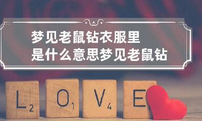 梦见老鼠钻衣服里是什么意思 梦见老鼠钻到衣服里怎么就不出来
