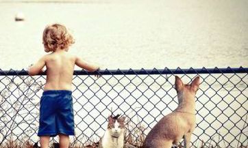 傅姓男孩名字2023年7月12日出生的