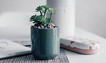 梦见饼 烙饼怎么回事 梦见饼 烙饼有什么预兆