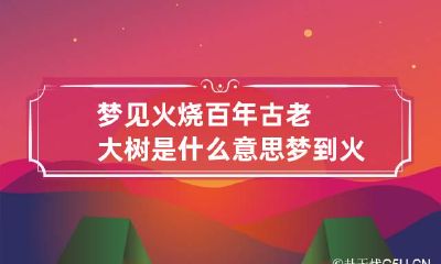 梦见火烧百年古老大树是什么意思 梦到火烧大树,然后我奋力扑灭