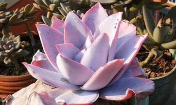 2023年惊蛰时间几点几分几秒钟 2023年惊蛰日能出行吗