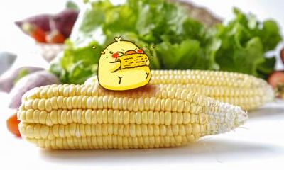 生肖鸡生命中的贵人是哪些生肖？