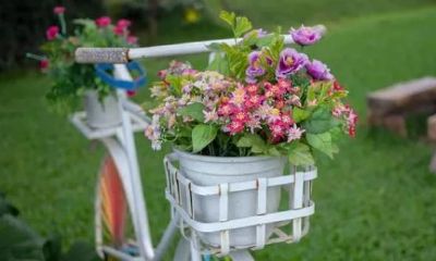 心理测试：哪一篮子花令你动心，测出你今生最大的福分是什么？