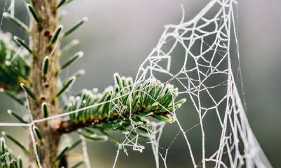 2021年第一次水逆，射手座心态压抑感，摩羯座抵住工作压力与挫败