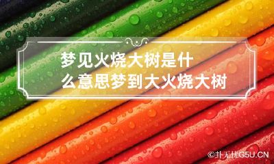 梦见火烧大树是什么意思 梦到大火烧大树